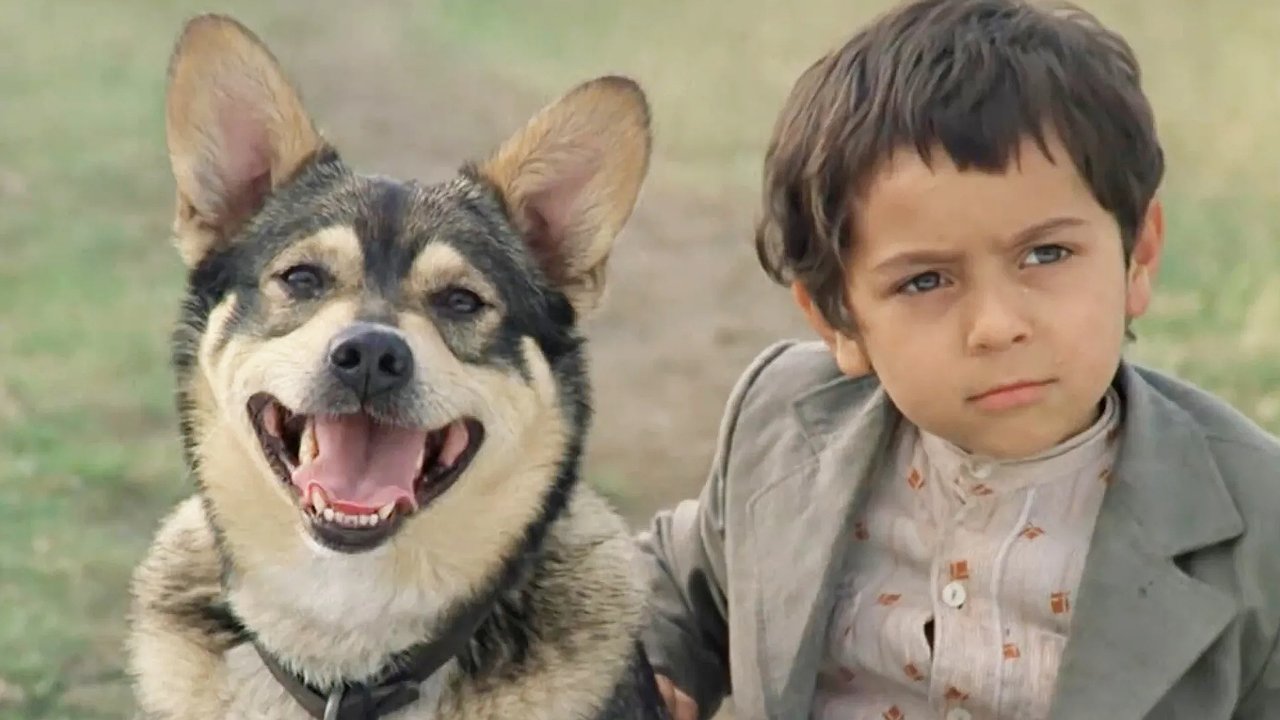 Главная картинка новости: Помните Цыганенка Степку из фильма «Мужики»?  В этом мужчине вы не узнаете очаровательного малыша