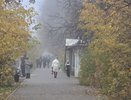 Туман и гололедицу возможны в Набережных Челнах 1 декабря
