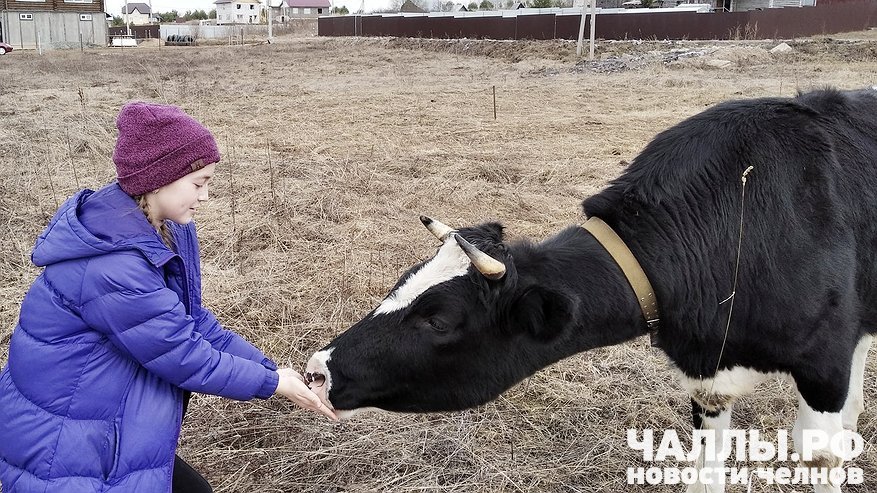 Главная картинка новости: Почти 100 тысяч рублей: в Татарстане раскрыли зарплаты для самых востребованных аграриев