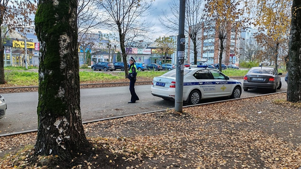 Главная картинка новости: В ГИБДД раскрыли список автомобилей, которые очень редко останавливают инспекторы - и вот почему