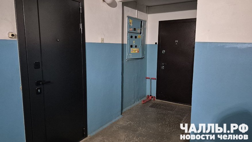 Главная картинка новости: Пенсионерка в Челнах отсудила квартиру, но спрятала деньги