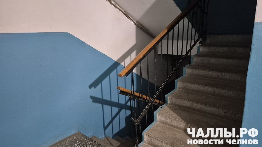 Главная картинка новости: Младенца подкинули в подъезд дома в Альметьевске: ребёнок в больнице