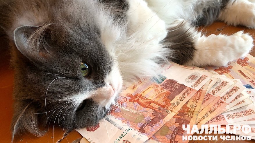 Главная картинка новости: Школьница из Татарстана перевела сбережения матери мошенникам