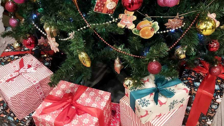 Главная картинка новости: 4 ложки на ведро — и символ Нового года простоит 2 месяца: «Живая вода» для вашей елочки