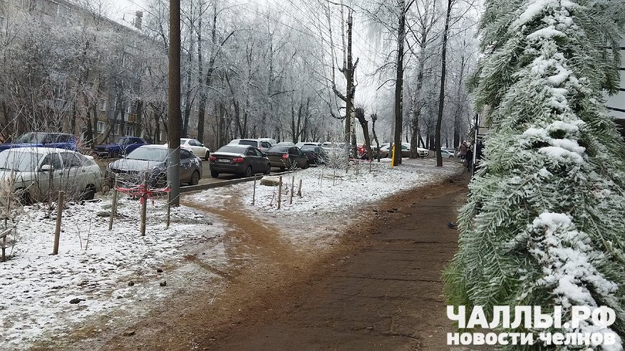 Главная картинка новости: Ноябрь без снега и с рекордным теплом в Татарстане встревожил метеорологов