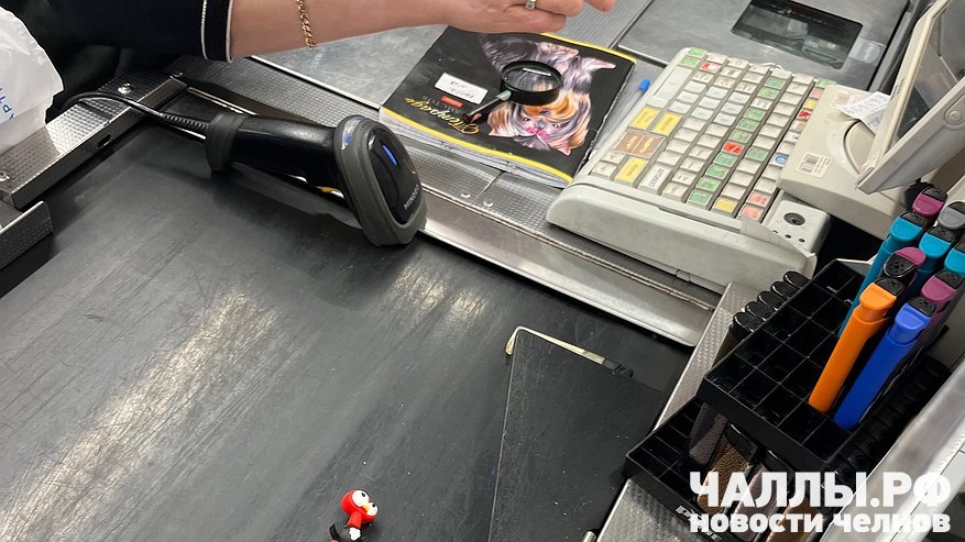 Главная картинка новости: В Челнах продавец украл из кассы полмиллиона на наряды и ужины в ресторанах