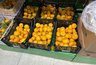 Миниатюра новости: Хитрые продавцы выбирают мандарины себе домой только так: запоминайте 3 признака - укажут на самые сочные и сладкие