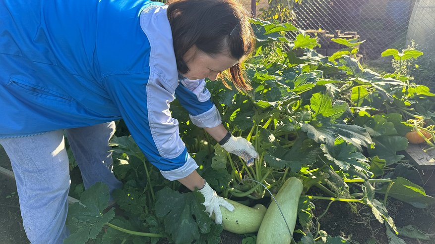 Главная картинка новости: Почему я никогда и никого не прошу помогать мне с огородом - и вам советую