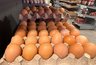 Миниатюра новости: Обходят стороной: почему работники магазинов и птицефабрик не берут для себя яйца категории СО - даже со скидкой