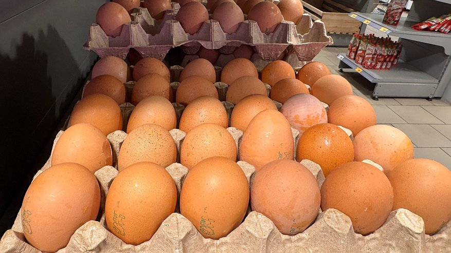 Главная картинка новости: Обходят стороной: почему работники магазинов и птицефабрик не берут для себя яйца категории СО - даже со скидкой