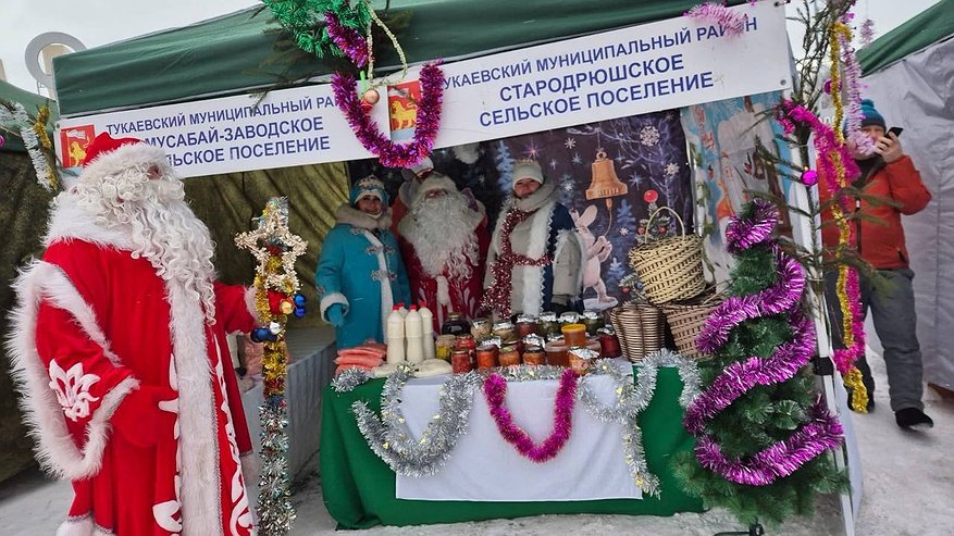 Главная картинка новости: В Челнах открылись традиционные ярмарки «Новогодний гусь»