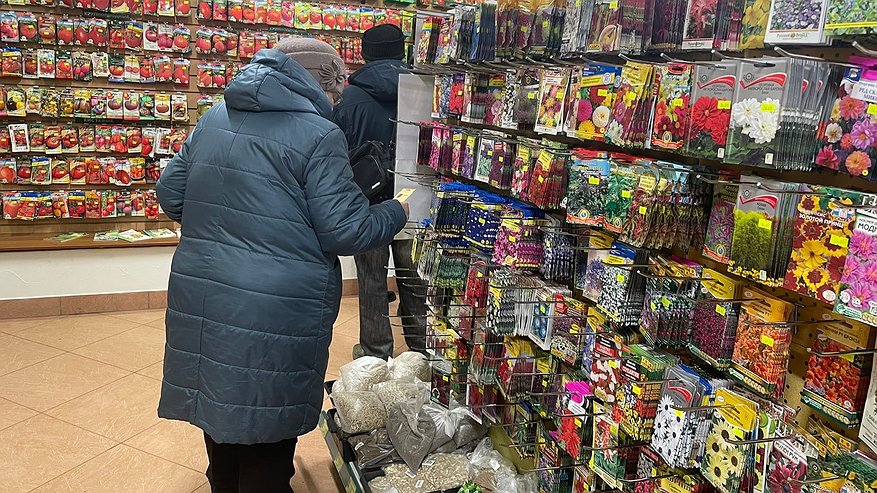 Главная картинка новости: Ухватила 7 пачек огурцов, которые в январе уже днем с огнем будет не найти: хиты 2026 года