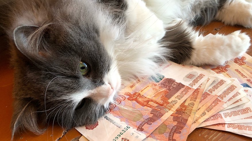 Главная картинка новости: Бывшего врача из Зеленодольска будут судить по делу о мелком взяточничестве