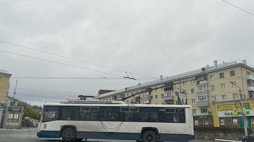 Главная картинка новости: Водителя казанского троллейбуса отстранили от работы из-за драки с пассажиром