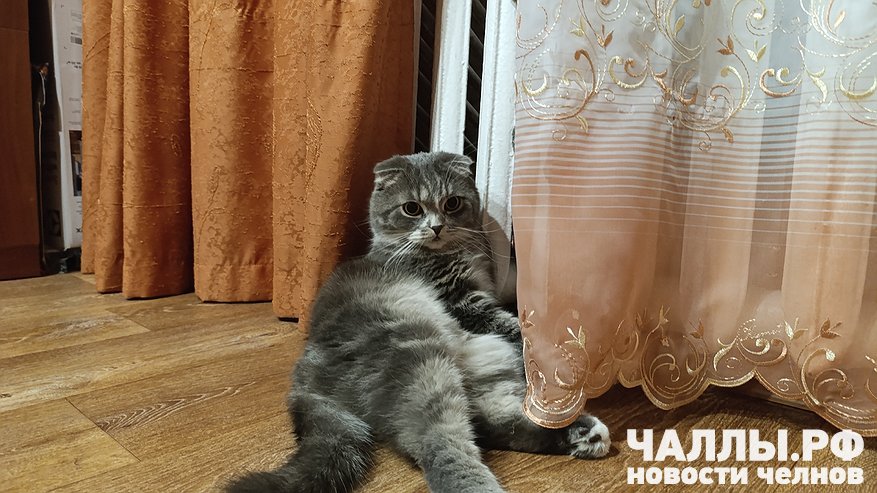 Главная картинка новости: Жители четырех домов в Челнах пожаловались на отопление через соцсети