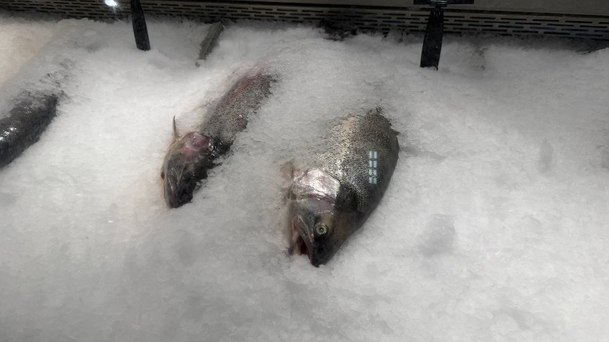 Главная картинка новости: Любую рыбу теперь чищу руками, без ножа и кипятка — испанский метод, после которого кухня остаётся чистой