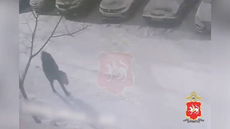 Главная картинка новости: В Казани задержали подозреваемого в краже из проката электроинструментов