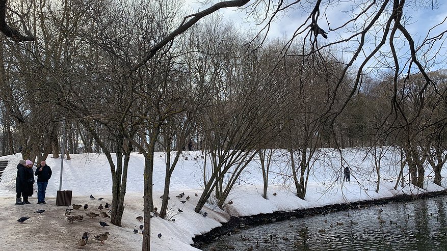 Главная картинка новости: Гололедицу и небольшой снег прогнозируют в Набережных Челнах 1 января