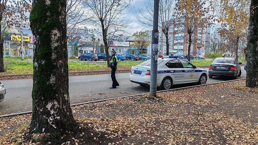 Главная картинка новости: Эти 3 документа водитель не обязан показывать сотруднику ДПС, даже если тот требует - стоит знать каждому, кто за рулем