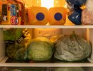 У соседки в холодильнике всегда чисто и ничего не пропадает — узнала её правила, теперь продукты живут вдвое дольше