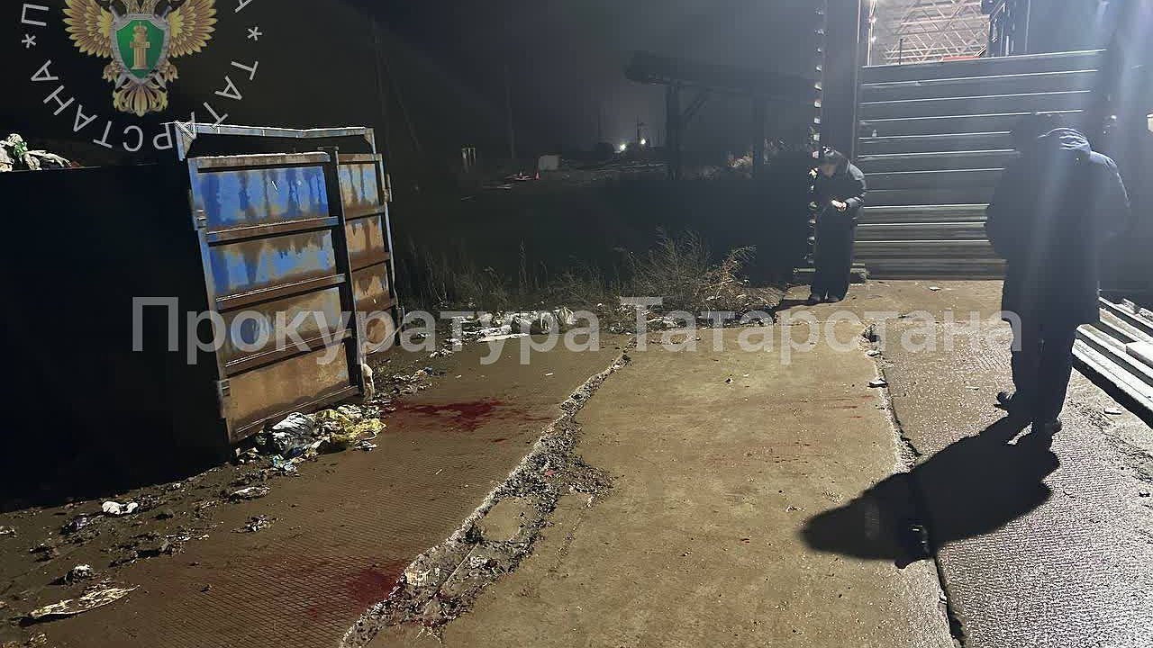 Главная картинка новости: Мужчина лишился ноги после нападения собак под Нижнекамском