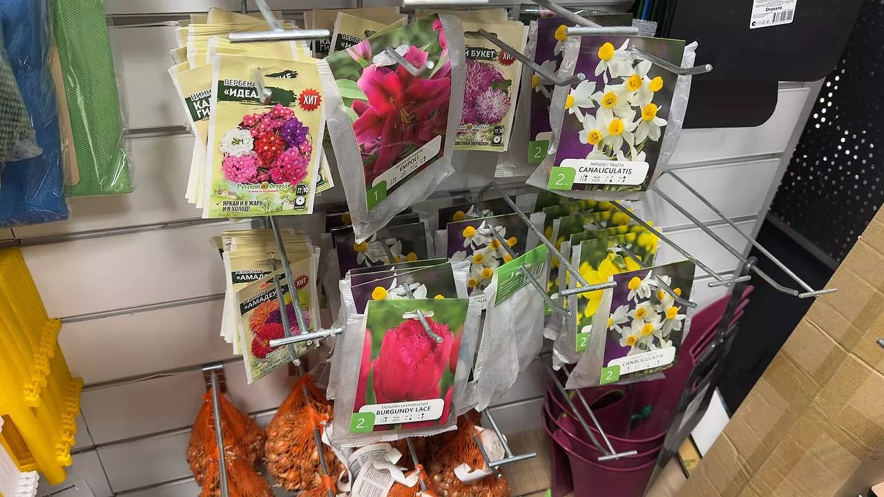 Главная картинка новости: 11 красивейших цветов, которые опытные дачники сеют на рассаду в феврале