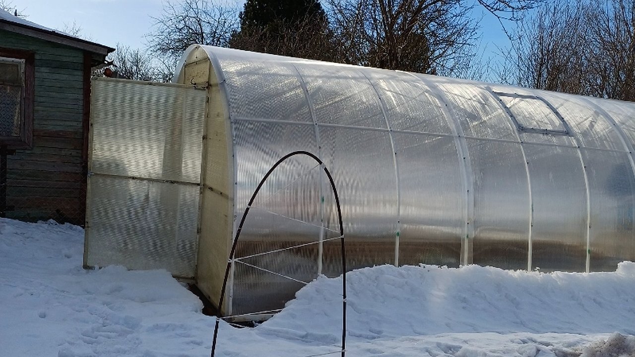Главная картинка новости: Под Мамадышем в огороде раскопали труп, пролежавший в земле 25 лет