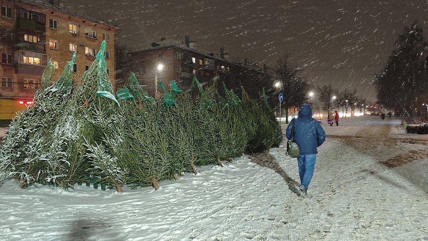 Главная картинка новости: В Татарстане объявили штормовое предупреждение из-за метели