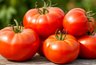 Миниатюра новости: Кусты гнутся под весом урожая: этот сорт дает по 12 кг мясистых томатов - и спокойно выдерживает холода