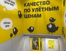 Покупаю в «дешёвом» Чижике только эти пять продуктов - делюсь своим эконом-списком