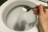 Миниатюра новости: Почему нужно солить воду в унитазе: приём, о котором забывают, а зря