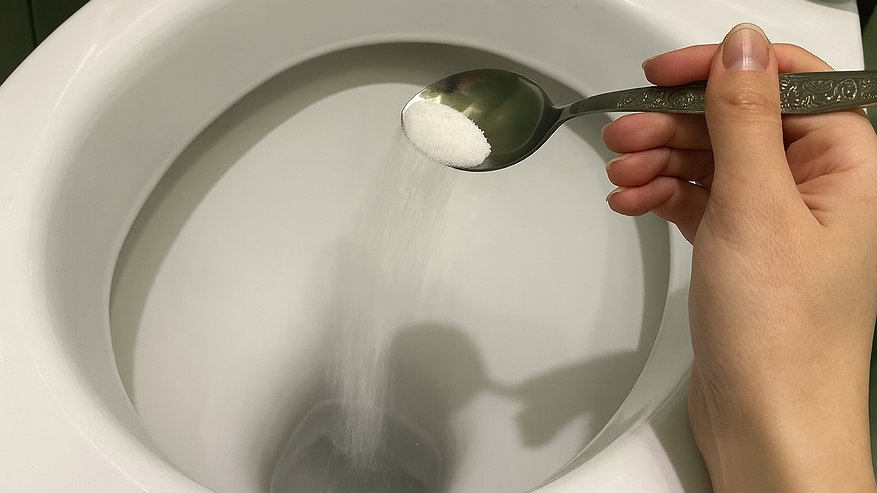 Главная картинка новости: Почему нужно солить воду в унитазе: приём, о котором забывают, а зря