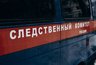 Миниатюра новости: Следователи Татарстана поздравили с Новым годом семью погибшего юного героя-челнинца