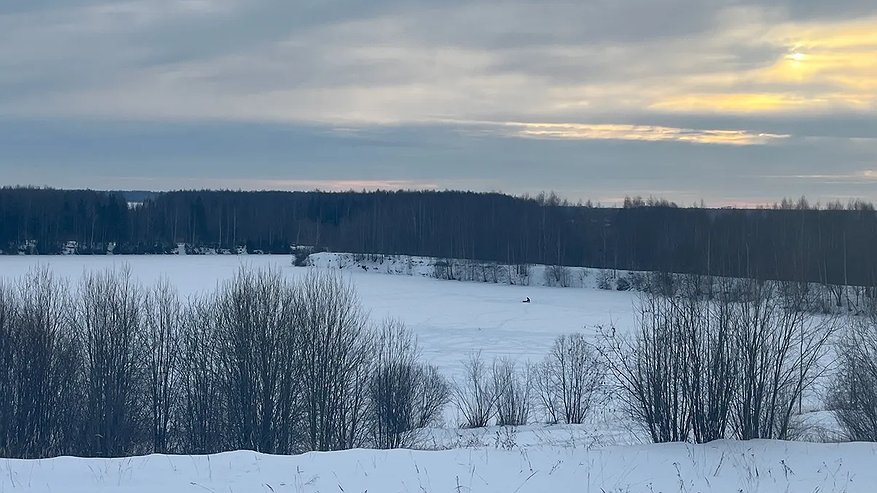 Главная картинка новости: В Татарстане спасли потерявшуюся в лесу женщину с Альцгеймером