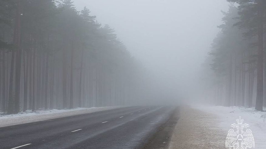 Главная картинка новости: В Татарстане объявили экстренное предупреждение из-за тумана
