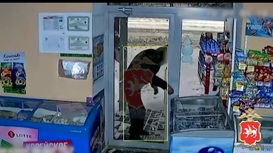 Главная картинка новости: Подозреваемого в краже из магазинов задержали в Татарстане