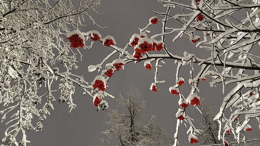 Главная картинка новости: В Челнах 9 января прогнозируют туман и гололедицу