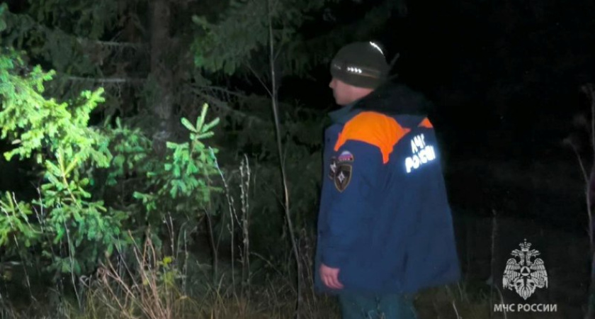 Из леса в Набережных Челнах вывели парня и девушку, которые заблудились