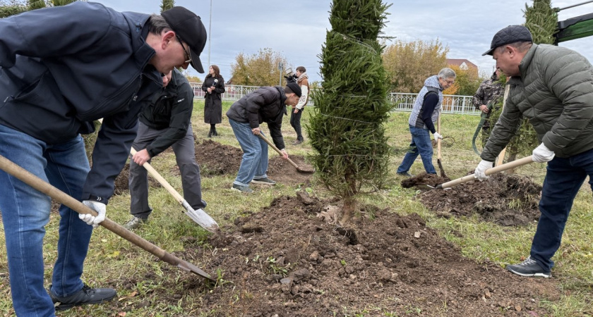 Масштабное озеленение ждёт проспект Яшьлек в Набережных Челнах