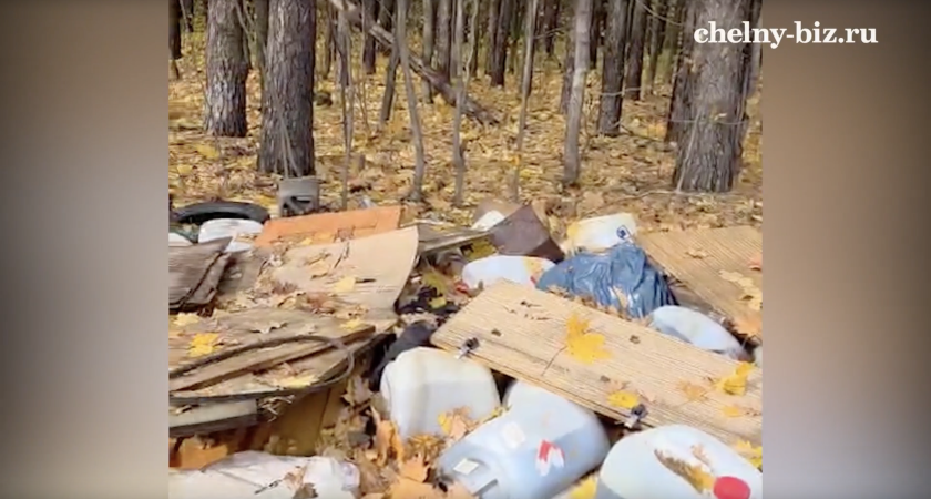 Опасная находка в лесу под Челнами: обнаружена свалка ядовитых веществ