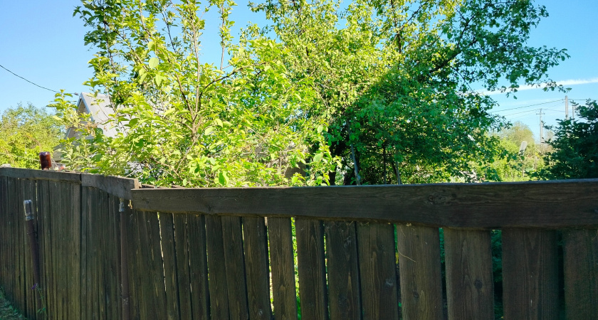 Сосед сдвинул забор на метр, "подарив" мне кусок территории: но весной я понял его хитрость - теперь не знаю, как решить проблему