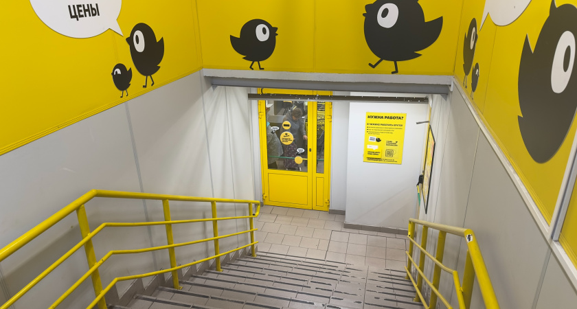 Купил в «Чижике» яйца за 69 рублей — только дома понял, что в упаковке — рассказываю честно