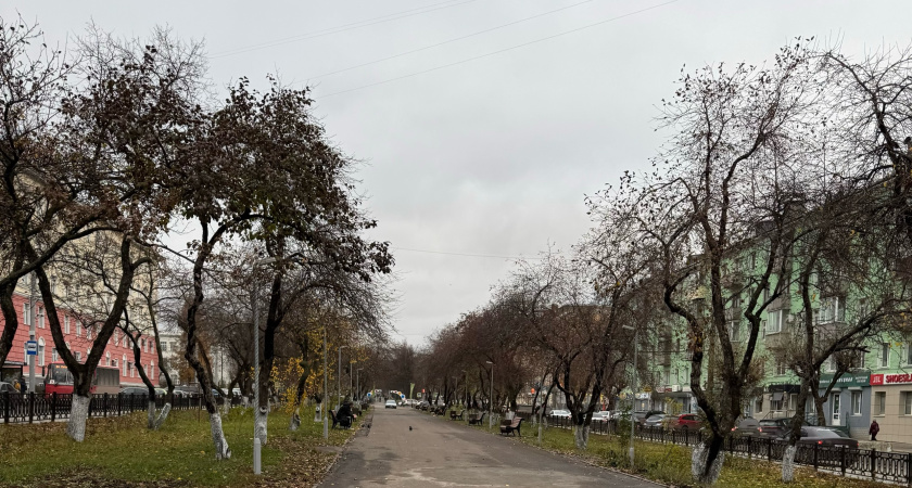 В Набережных Челнах ожидается туманная погода и дождь 19 октября