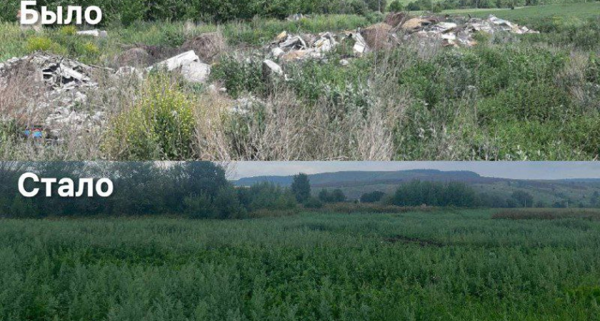 Минэкологии Татарстана: свалку в Бегишево ликвидировали