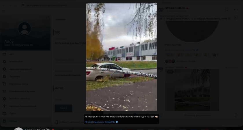 В Челнах дерево рухнуло на автомобиль, купленный четыре дня назад