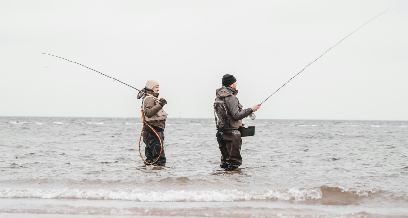 Рыбаки на Чукотке не стали скрывать, почему они выбрасывают красную рыбу тоннами — отдают чайкам и собакам