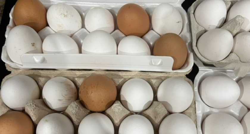 Купил в "Чижике" яйца за 69 рублей — только дома понял, какие они — рассказываю честно