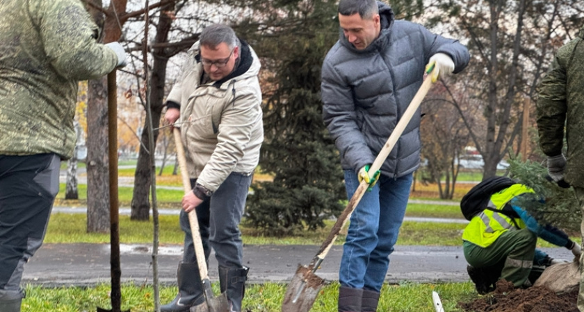 У сквера в Набережных Челнах высадили 100 деревьев