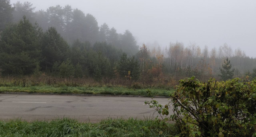 Туманная и дождливая погода ожидается в Челнах в понедельник, 27 октября