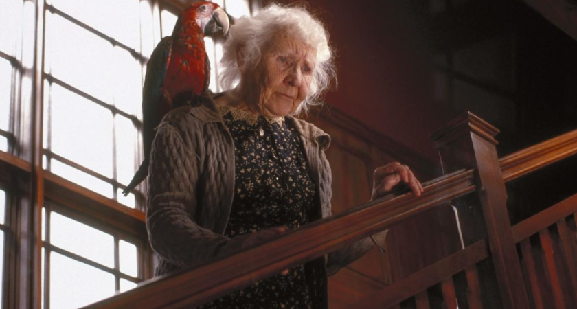 Причина, почему я после 55 больше не оставляю гостей с ночёвкой у себя дома